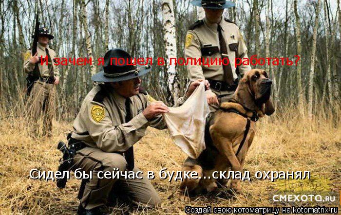 И зачем я пошел в полицию работать? Сидел бы сейчас в будке...склад охранял... Котоматрица: И зачем я пошел в полицию работать? Сидел бы сейчас в будке...склад охранял