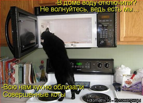 -В доме воду отключили? Не волнуйтесь, ведь есть мы... -Всю нам кухню облизали Совершенные коты... Котоматрица: -В доме воду отключили? Не волнуйтесь, ведь есть мы... -Всю нам кухню облизали Совершенные коты
