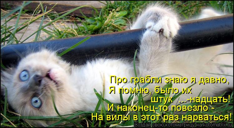 Про грабли знаю я давно, Я помню, было их штук ...-надцать! И наконец-то повезло - На вилы в этот ра... Котоматрица: Про грабли знаю я давно, Я помню, было их штук ...-надцать! И наконец-то повезло - На вилы в этот раз нарваться!
