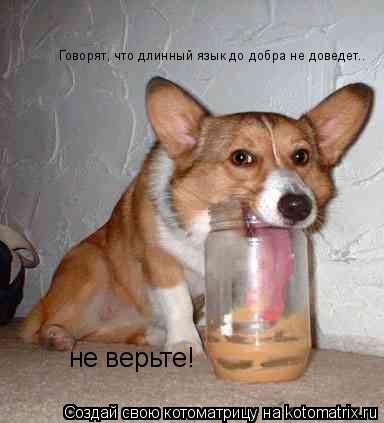 Говорят, что длинный язык до добра не доведет.. не верьте!... Котоматрица: Говорят, что длинный язык до добра не доведет.. не верьте!