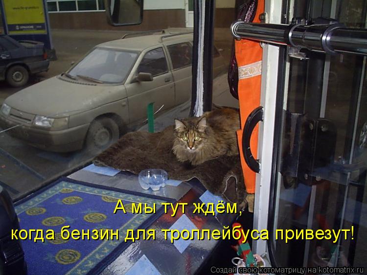 А мы тут ждём, когда бензин для троллейбуса привезут!... Котоматрица: А мы тут ждём, когда бензин для троллейбуса привезут!