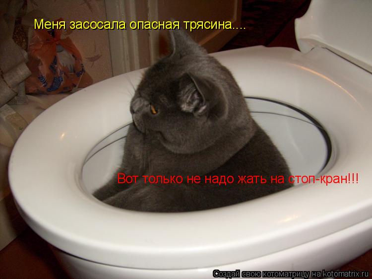Меня засосала опасная трясина.... Вот только не надо жать на стоп-кран!!!... Котоматрица: Меня засосала опасная трясина.... Вот только не надо жать на стоп-кран!!!