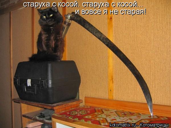 старуха с косой. старуха с косой... и вовсе я не старая!... Котоматрица: старуха с косой. старуха с косой... и вовсе я не старая!