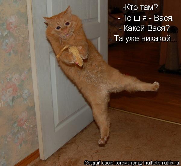 -Кто там? - То ш я - Вася. - Какой Вася? - Та уже никакой...... Котоматрица: -Кто там? - То ш я - Вася. - Какой Вася? - Та уже никакой...