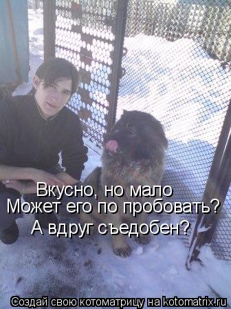Вкусно, но мало Может его по пробовать? А вдруг съедобен?... Котоматрица: Вкусно, но мало Может его по пробовать? А вдруг съедобен?