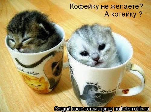 Котоматрица: Кофейку не желаете? А котейку ?