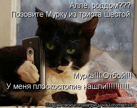 Алле, роддом??? Позовите Мурку из триста шестой Мурка!!! Отбой!!! У меня плоскостопие нашли!!!!!!!!!... Котоматрица: Алле, роддом??? Позовите Мурку из триста шестой Мурка!!! Отбой!!! У меня плоскостопие нашли!!!!!!!!!!