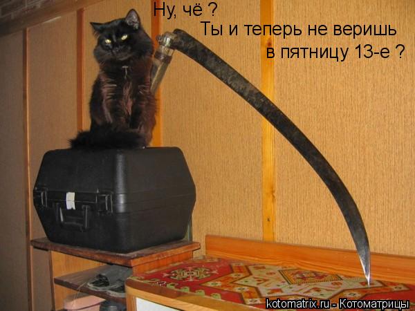 Ну, чё ? Ты и теперь не веришь в пятницу 13-е ?... Котоматрица: Ну, чё ? Ты и теперь не веришь в пятницу 13-е ?