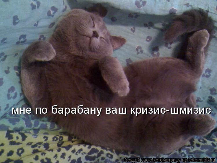 мне по барабану ваш кризис-шмизис... Котоматрица: мне по барабану ваш кризис-шмизис