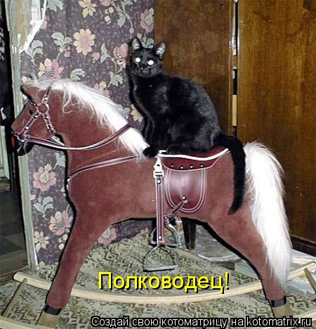 Полководец!... Котоматрица: Полководец!