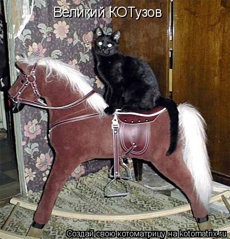 Великий КОТузов... Котоматрица: Великий КОТузов