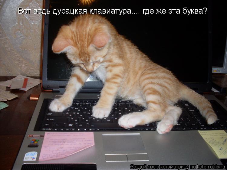 Вот ведь дурацкая клавиатура.....где же эта буква?... Котоматрица: Вот ведь дурацкая клавиатура.....где же эта буква?