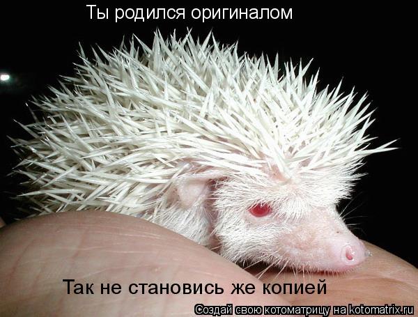 Ты родился оригиналом Так не становись же копией... Котоматрица: Ты родился оригиналом Так не становись же копией