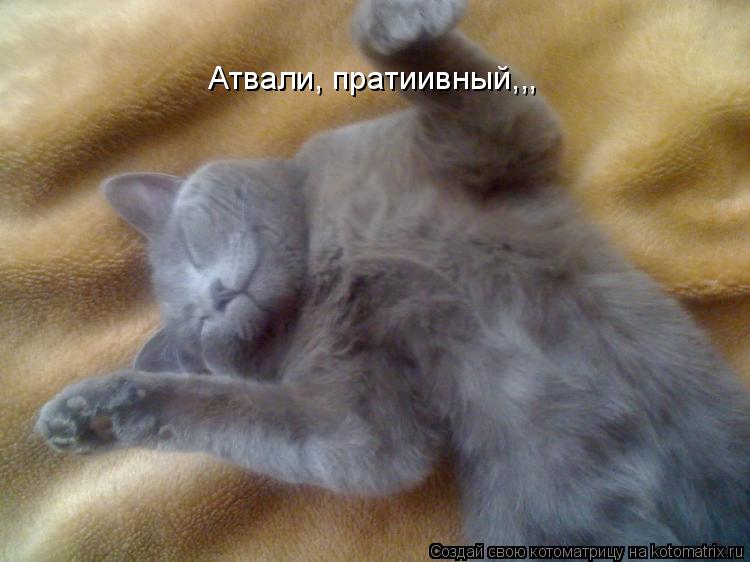 Атвали, пратиивный,,,... Котоматрица: Атвали, пратиивный,,,