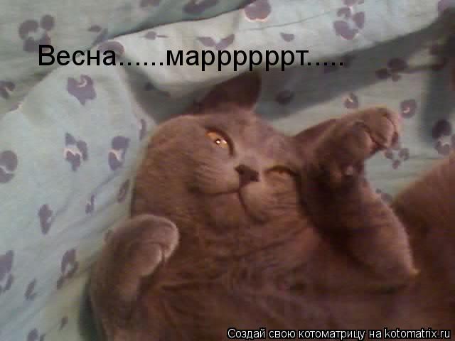 Весна......маррррррт........ Котоматрица: Весна......маррррррт.....