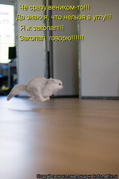 Чё сразу веником-то!!! Да знаю я, что нельзя в углу!!! Я ж закопал!!! Закопал, говорю!!!!!!... Котоматрица: Чё сразу веником-то!!! Да знаю я, что нельзя в углу!!! Я ж закопал!!! Закопал, говорю!!!!!!