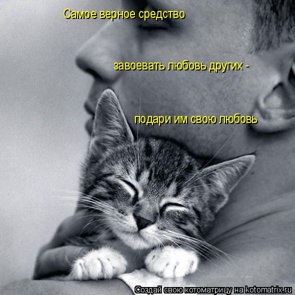 Самое верное средство завоевать любовь других - подари им свою любовь... Котоматрица: Самое верное средство завоевать любовь других - подари им свою любовь