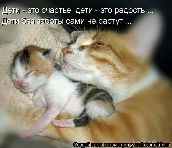 Дети - это счастье, дети - это радость ... Дети без заботы сами не растут ...... Котоматрица: Дети - это счастье, дети - это радость ... Дети без заботы сами не растут ...
