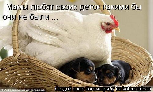 Мамы любят своих деток какими бы они не были ...... Котоматрица: Мамы любят своих деток какими бы они не были ...