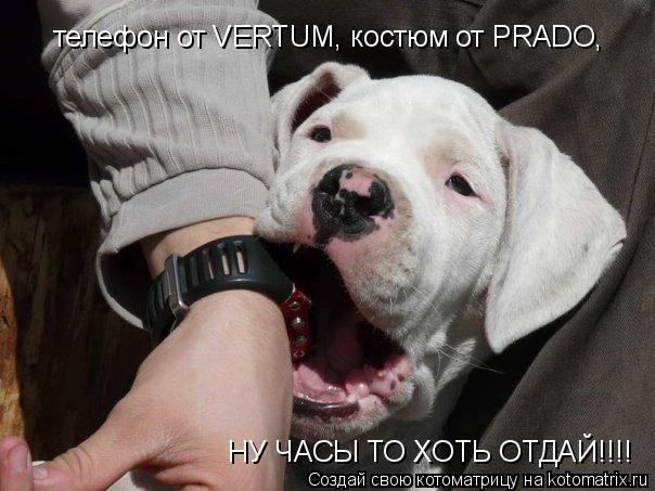 телефон от VERTUM, костюм от PRADO, НУ ЧАСЫ ТО ХОТЬ ОТДАЙ!!!!... Котоматрица: телефон от VERTUM, костюм от PRADO, НУ ЧАСЫ ТО ХОТЬ ОТДАЙ!!!!