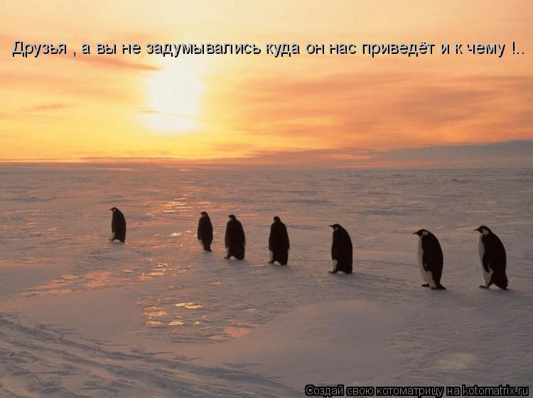 Друзья , а вы не задумывались куда он нас приведёт и к чему !..... Котоматрица: Друзья , а вы не задумывались куда он нас приведёт и к чему !..