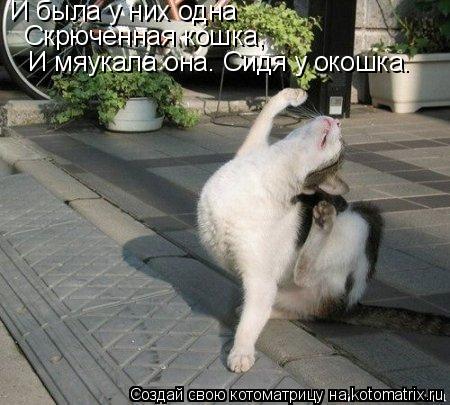 И была у них одна Скрюченная кошка, И мяукала она. Сидя у окошка.... Котоматрица: И была у них одна Скрюченная кошка, И мяукала она. Сидя у окошка.