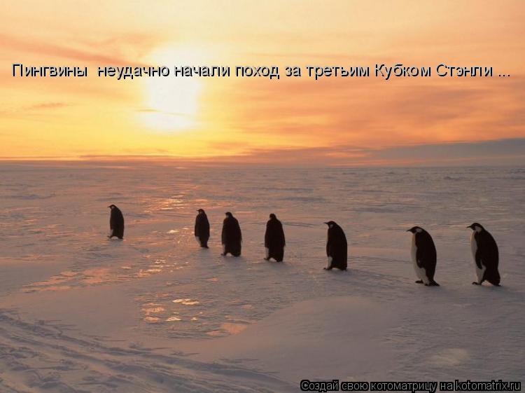 «Пингвины» неудачно начали поход за третьим Кубком Стэнли ...... Котоматрица: «Пингвины» неудачно начали поход за третьим Кубком Стэнли ...
