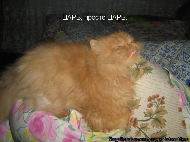 - ЦАРЬ, просто ЦАРЬ.... Котоматрица: - ЦАРЬ, просто ЦАРЬ.