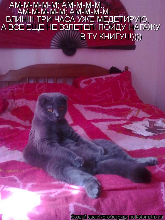 АМ-М-М-М-М; АМ-М-М-М... АМ-М-М-М-М; АМ-М-М-М... БЛИН!!! ТРИ ЧАСА УЖЕ МЕДЕТИРУЮ, А ВСЕ ЕЩЕ НЕ ВЗЛЕТЕ... Котоматрица: АМ-М-М-М-М; АМ-М-М-М... АМ-М-М-М-М; АМ-М-М-М... БЛИН!!! ТРИ ЧАСА УЖЕ МЕДЕТИРУЮ, А ВСЕ ЕЩЕ НЕ ВЗЛЕТЕЛ! ПОЙДУ НАГАЖУ В ТУ КНИГУ!!!))))