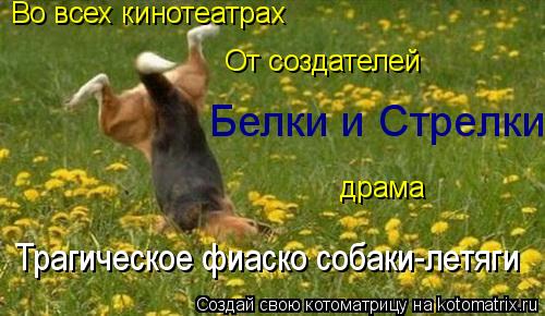 Во всех кинотеатрах От создателей Белки и Стрелки драма Трагическое фиаско собаки-летяги... Котоматрица: Во всех кинотеатрах От создателей Белки и Стрелки драма Трагическое фиаско собаки-летяги