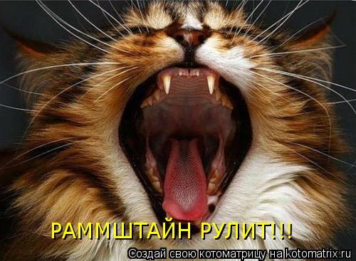 РАММШТАЙН РУЛИТ!!!... Котоматрица: РАММШТАЙН РУЛИТ!!!