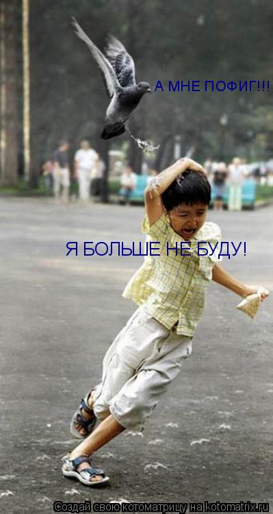 Я БОЛЬШЕ НЕ БУДУ! А МНЕ ПОФИГ!!!... Котоматрица: Я БОЛЬШЕ НЕ БУДУ! А МНЕ ПОФИГ!!!