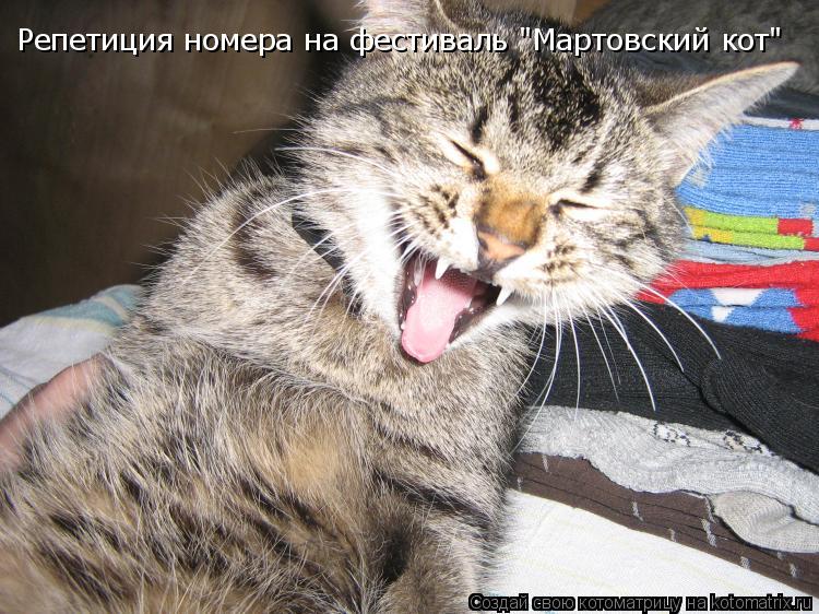 Репетиция номера на фестиваль "Мартовский кот"... Котоматрица: Репетиция номера на фестиваль "Мартовский кот"