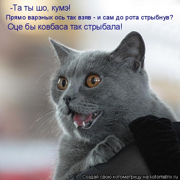 -Та ты шо, кумэ! Прямо варэнык ось так взяв - и сам до рота стрыбнув? Оце бы ковбаса так стрыбала!... Котоматрица: -Та ты шо, кумэ! Прямо варэнык ось так взяв - и сам до рота стрыбнув? Оце бы ковбаса так стрыбала!