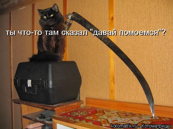 ты что-то там сказал "давай помоемся"?... Котоматрица: ты что-то там сказал "давай помоемся"?