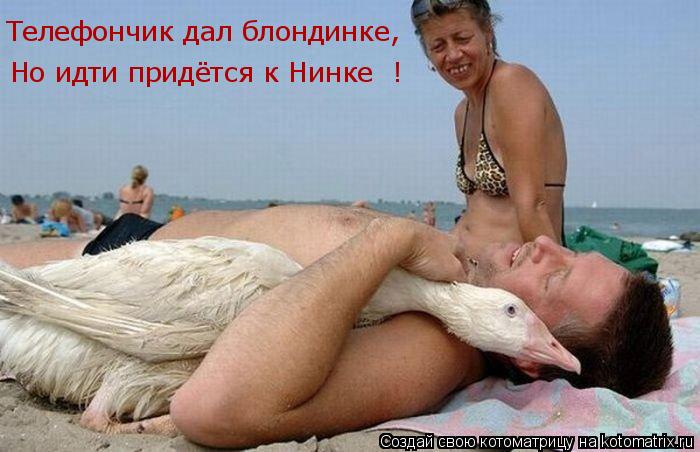 Телефончик дал блондинке, Но идти придётся к Нинке !... Котоматрица: Телефончик дал блондинке, Но идти придётся к Нинке !