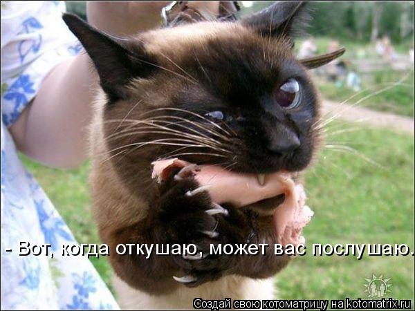 - Вот, когда откушаю, может вас послушаю...... Котоматрица: - Вот, когда откушаю, может вас послушаю...