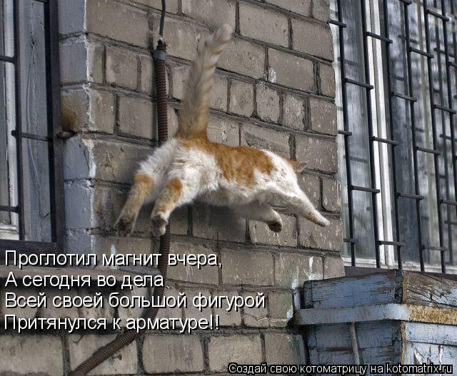 Проглотил магнит вчера, А сегодня во дела Всей своей больш Всей своей большой фигурой Притянулся к ар... Котоматрица: Проглотил магнит вчера, А сегодня во дела Всей своей больш Всей своей большой фигурой Притянулся к арматуре!!