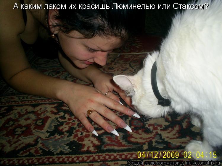 А каким лаком их красишь Люминелью или Стаксом?... Котоматрица: А каким лаком их красишь Люминелью или Стаксом?
