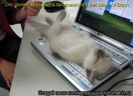 Ого срочно вызывайте програмиста у нас завелся вирус... Котоматрица: Ого срочно вызывайте програмиста у нас завелся вирус