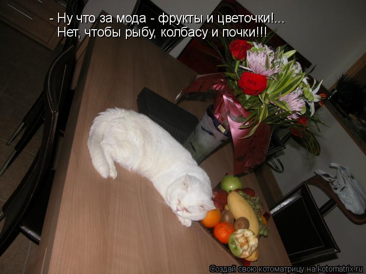 - Ну что за мода - фрукты и цветочки!... Нет, чтобы рыбу, колбасу и почки!!!... Котоматрица: - Ну что за мода - фрукты и цветочки!... Нет, чтобы рыбу, колбасу и почки!!!