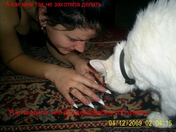А как мне так не захотела делать. Я ж говорила, мне для дела, Ваську соблазнять... Котоматрица: А как мне так не захотела делать. Я ж говорила, мне для дела, Ваську соблазнять