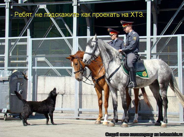 - Ребят, не подскажите как проехать на ХТЗ.... Котоматрица: - Ребят, не подскажите как проехать на ХТЗ.