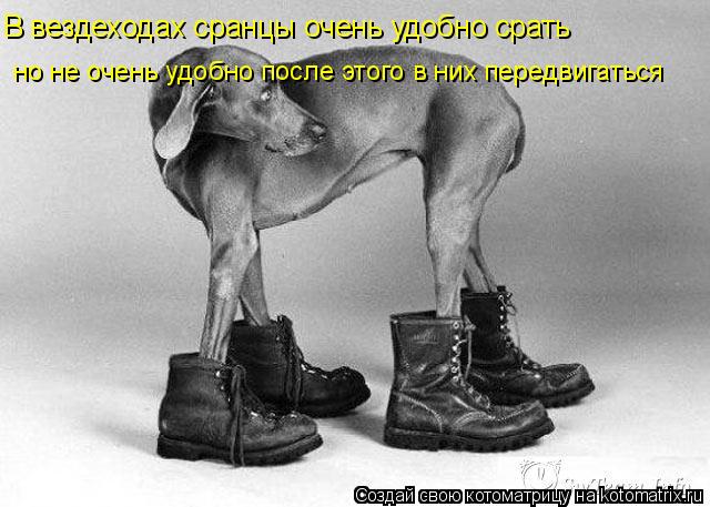 В вездеходах сранцы очень удобно срать но не очень удобно после этого в них передвигаться... Котоматрица: В вездеходах сранцы очень удобно срать но не очень удобно после этого в них передвигаться