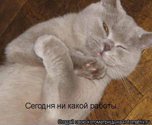 Сегодня ни какой работы.... Котоматрица: Сегодня ни какой работы.