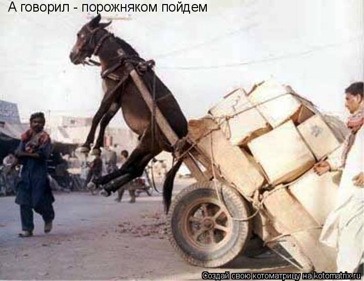 А говорил - порожняком пойдем... Котоматрица: А говорил - порожняком пойдем