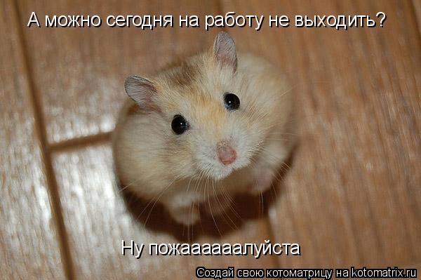 А можно сегодня на работу не выходить? Ну пожаааааалуйста... Котоматрица: А можно сегодня на работу не выходить? Ну пожаааааалуйста