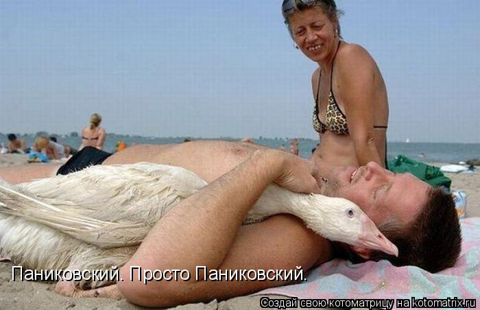 Паниковский. Просто Паниковский.... Котоматрица: Паниковский. Просто Паниковский.