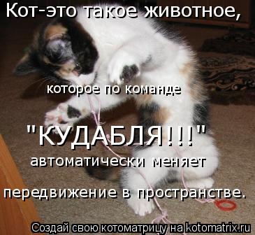которое по команде "КУДАБЛЯ!!!" автоматически меняет передвижение в пространстве. Кот-это такое живот... Котоматрица: которое по команде "КУДАБЛЯ!!!" автоматически меняет передвижение в пространстве. Кот-это такое животное,
