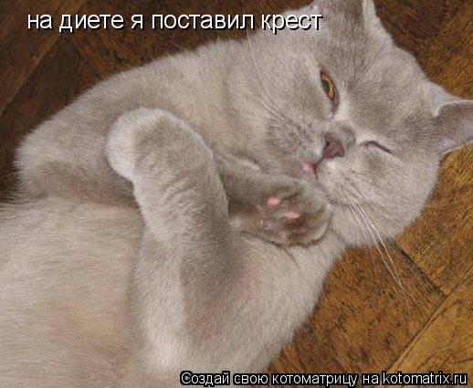 на диете я поставил крест... Котоматрица: на диете я поставил крест